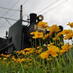 12934912_210697649310487_551052761_a