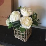 11055903_418774104967111_261949464_a