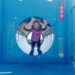 10413909_242855992581845_125634879_a