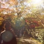 11820711_846004108770610_565433215_a