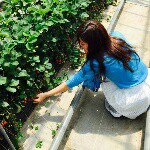 11201521_1434747096828132_1361726632_a