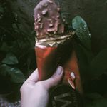 13151295_1614461352212492_640242426_a