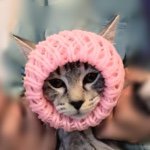 11111400_1441006836196991_1711820131_a