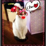 11377778_387805391429629_93165506_a