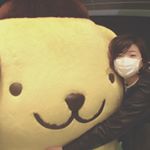 12531160_471427199714000_202827415_a