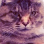 10932093_853836718010664_508666368_a