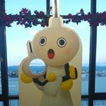 12237517_1096614603685130_2062733804_a