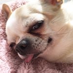 1169194_165731493793027_1572353169_a