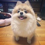 917897_778926692249682_383127247_a