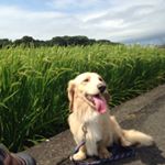 11849355_1636619913289492_1586398663_a