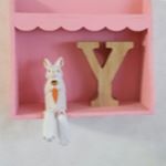 12346061_1541241919527679_196069358_a