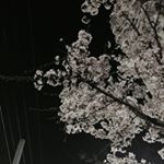 12502010_1760006280901798_2126011372_a