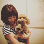 12501552_1153960817989805_1740432859_a