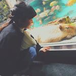 12479224_594272200754499_863646843_a