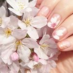 12935147_1743201125895858_419592197_a