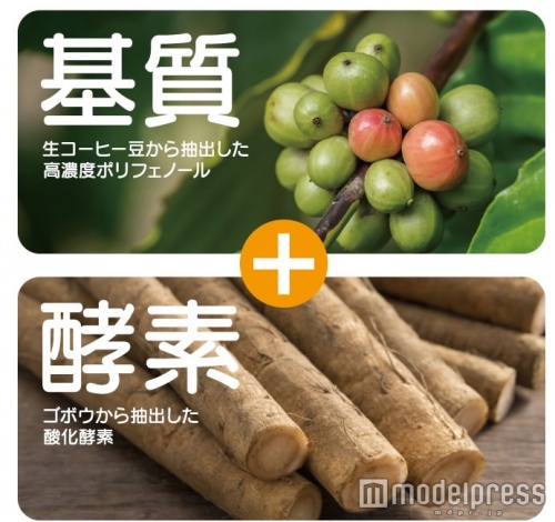 フレッシュミントや自然の素材で気になる不快感解消をサポート