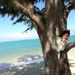 10467988_1490029587930181_935063085_a