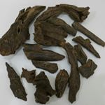 12543398_806638486132604_568498301_a