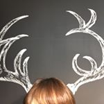 12959978_570172169818122_54607306_a