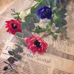 12751466_1124674604240089_1164882409_a