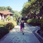 12816813_814949281971701_891871488_a