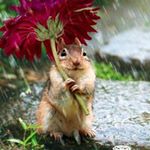 12230925_1522690451389179_1327835730_a