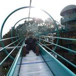 11093031_374823006049133_427585120_a