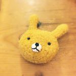 11264543_130077670663098_1026399067_a