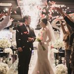 917918_203277746684810_478601847_a