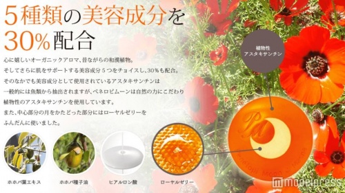 植物性の5つの美容成分で美肌効効果アップ