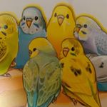 12070646_1729505033937613_14284578_a