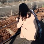 12725097_951689748239962_820396968_a