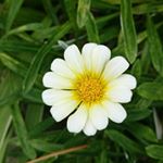 12784004_1688846121327315_484708098_a