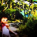 12547710_1662896020637314_593640841_a