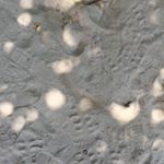 13129612_586392924860651_361524845_a
