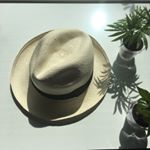 12724658_123211808081226_1301745064_a