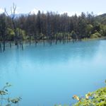 12501793_572999119544971_1878249810_a