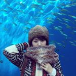 12338850_1629635147277754_763846442_a