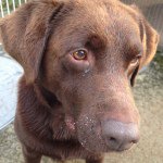 11925731_1659853030894992_1668771359_a