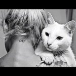 11820416_992527894111406_611600376_a