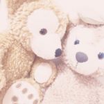 12912826_907103356064850_197676789_a