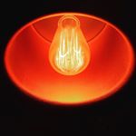 13118049_277182692621364_1544737300_a