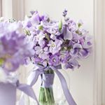 10413246_531713867002758_2088082466_a