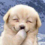 11257955_1462088480783731_448048581_a