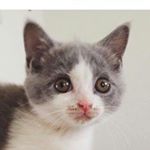 11326735_1165007953516120_1500445076_a