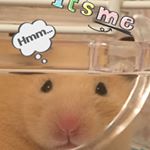 12424351_1815294542030747_1510559712_a