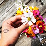 11417458_992867527457527_1310621661_a