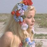 12918030_262094700800540_648100474_a