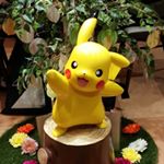 1889214_1509481876022815_1962976037_a