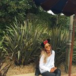 12976402_554254628087276_2059201597_a